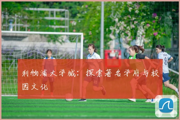 利物浦大学城：探索著名学府与校园文化